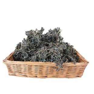 马齿苋干晒干蚂蚱菜野生马齿菜干菜马齿笕干品马蜂菜马齿汗包邮