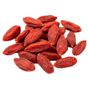 红枸杞树苗盆栽食用枸杞苗北方南方地栽耐寒宁夏红枸杞盆景老桩苗