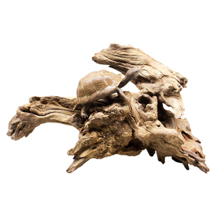 乌龟晒台沉木躲避鱼缸水陆缸造景装饰品天然木质摆件木头爬宠用品