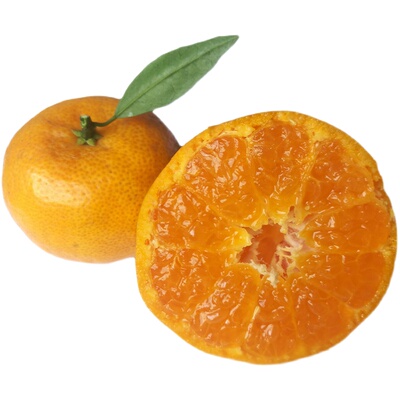 广西桂林马水桔新鲜水果现摘发出