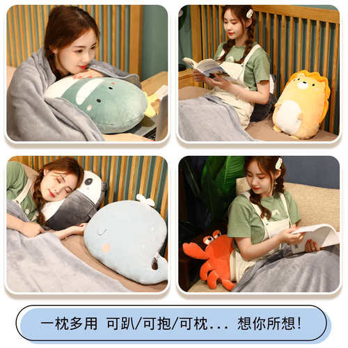 汽车抱枕被子两用午睡毯女小枕头午休小号学生抱枕儿童睡觉二合一