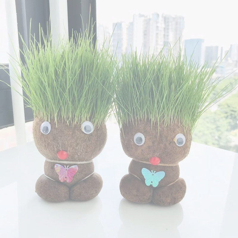 抖音同款草头娃娃迷你小绿植