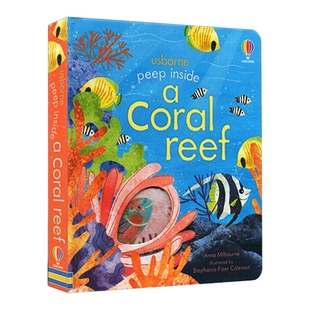 珊瑚礁 Peep Inside a Coral Reef 3-6岁少儿生物科学科普知识启蒙故事洞洞书绘本 英文原版