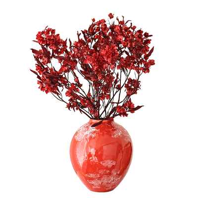 迎客豆干花插花装饰喜庆年宵花