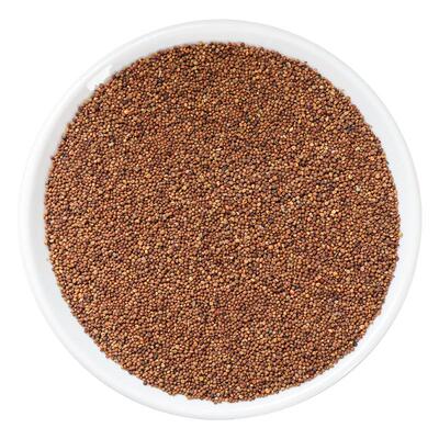 野生菟丝子500g正品新货泡茶泡酒