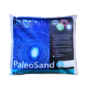 红十字鱼缸沙底砂天然礁岩珊瑚沙法红海沙底沙造景装饰沙白色