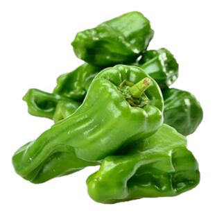 薄皮辣椒苗秧苗樟树港椒螺丝杭椒苗南方种植春季蔬菜苗种籽孑大全