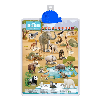 逻辑挂图有声早教认知卡