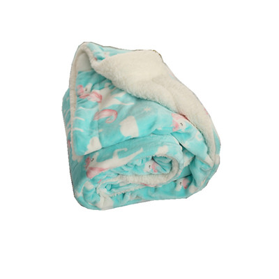 大尺寸阳离子牛奶绒毛毯