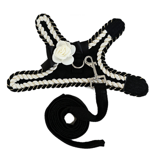 茶杯犬超小体奶狗幼犬幼猫小猫牵引绳小型犬约克夏1斤小狗狗绳子