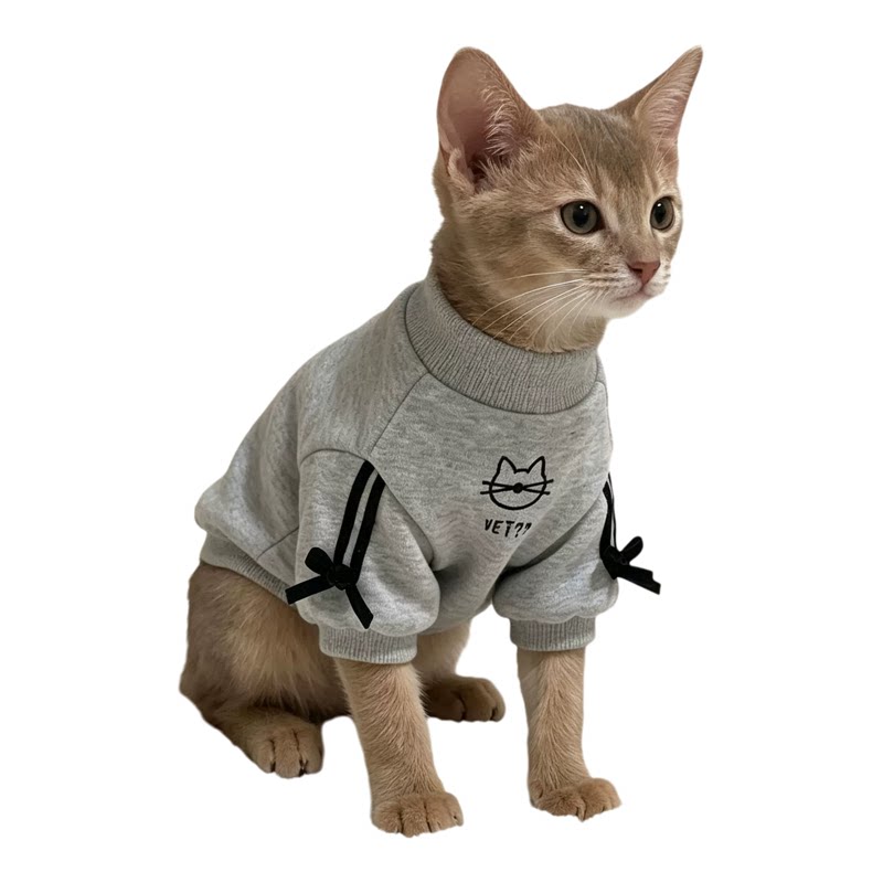 宠物小猫衣服秋冬保暖无毛猫卫衣