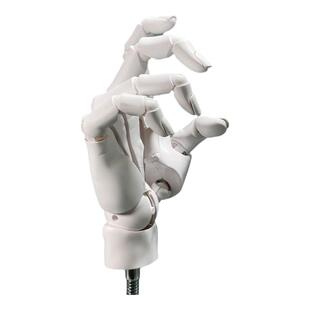 国产可动手指关节1/1人手模型支架画画素描标准右手白手灰手手模