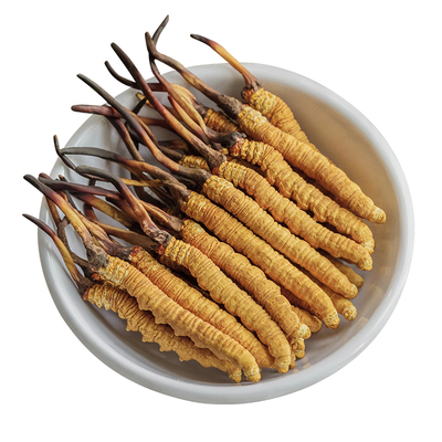 藏清源冬虫夏草正品10克礼盒装