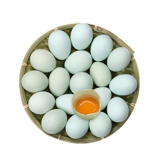 云依禾农庄乌鸡蛋新鲜农家土鸡蛋绿壳青皮蛋月子宝宝蛋柴鸡蛋
