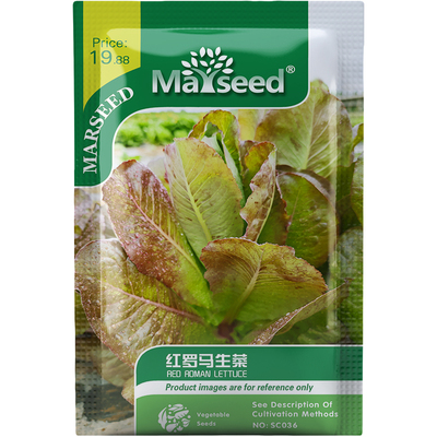 红罗马生菜种子种苗酒红丝绒叶卷边厚叶清脆多汁佐餐沙拉蔬菜C187