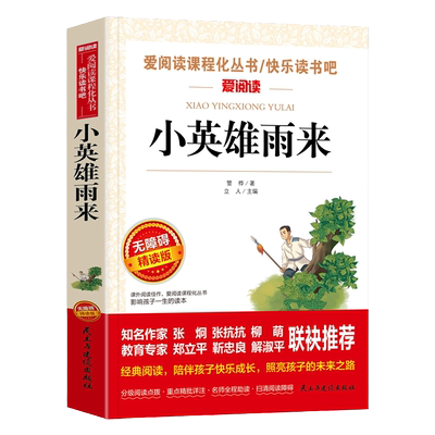 小英雄雨来原著正版课外阅读书