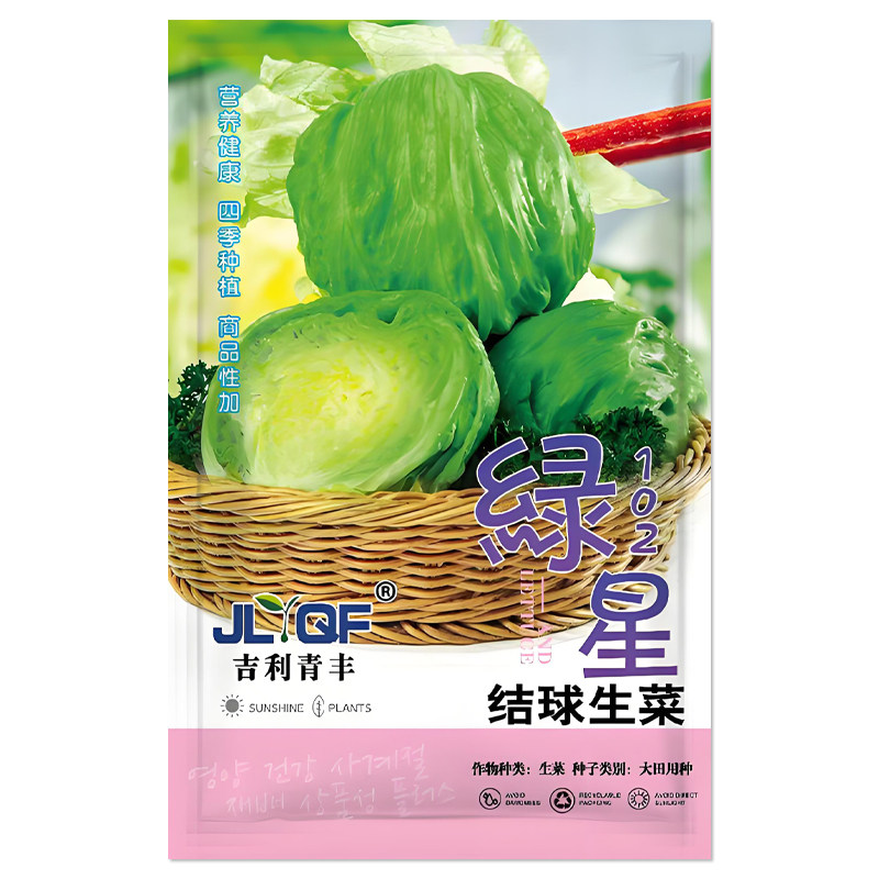 绿星结球生菜种子蔬菜种子