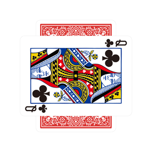 北方魔术原版单车印刷特殊牌漩涡牌旋转牌近景视觉化扑克魔术道具