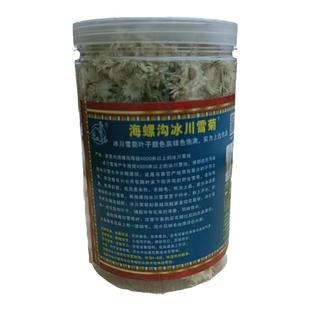 甘孜海螺沟冰川野生雪菊见开水冲泡成花骨朵25克共6罐送玫瑰花冠