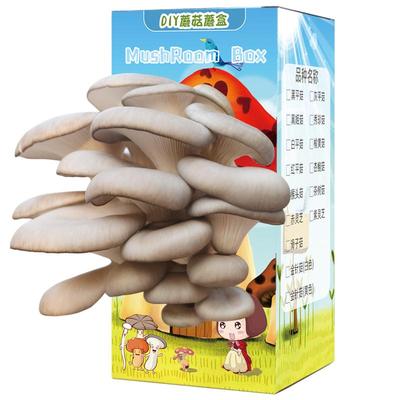 diy室内家庭学校蘑菇种植包