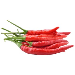 10包满天星红色小米辣椒盆栽阳台种植朝天椒种子辣椒泡椒特辣蔬菜