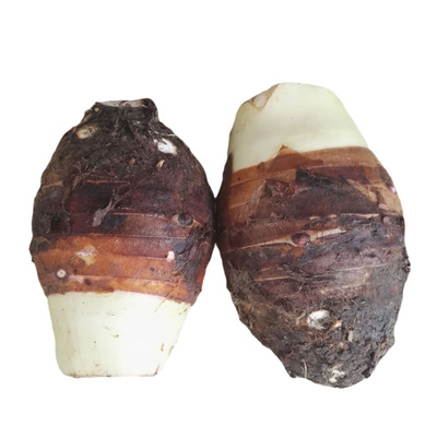 新鲜直发广西特产荔浦芋头蔬菜