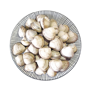 大黄蚬子大白蚬子组合装丹东特产野生鲜活无沙蛤蜊黄贝花甲3斤装