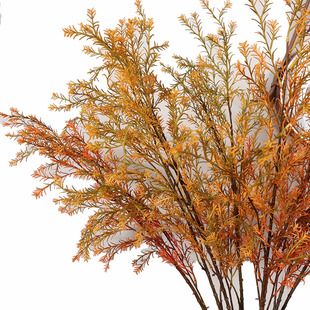 秋橘黄色落地长枝千层金仿真花民宿软装搭配装饰秋色叶子树枝假花