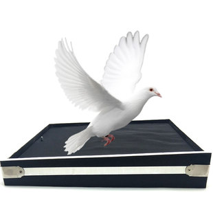 包邮专业舞台魔术道具 爆鸽板 出鸽板 舞台鸽子 气球爆破出鸽子