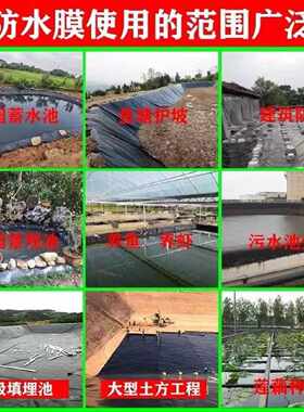 土工膜加厚黑色塑料养殖膜专用鱼池防水布藕池蓄水池膜鱼塘防渗膜