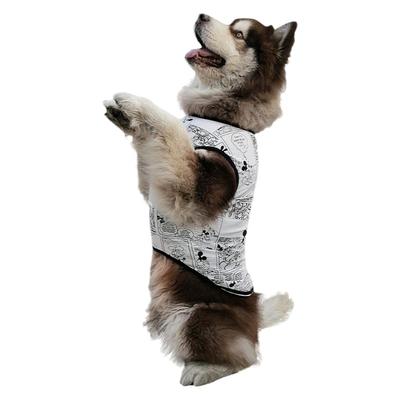 狗狗衣服春装春夏薄款防掉毛中型