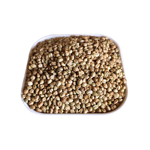 纸壳麻子鹦鹉粮和尚小太阳训练零食火麻子鸟粮饲料牡丹玄凤新麻子