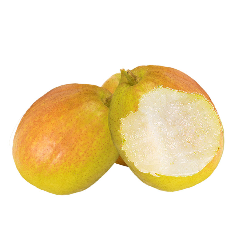 新疆库尔勒香梨特级大果新鲜水果5当季整箱箱装全母梨子10斤顺丰