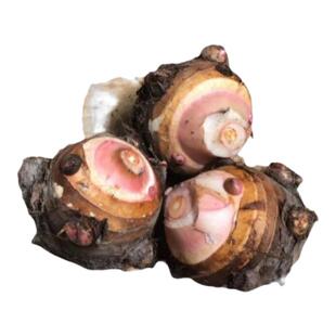 25年当季正宗奉化芋艿头新鲜小奶芋头种子粉糯宁波溪口地标特产礼