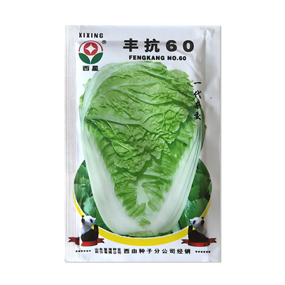 西星丰抗60大白菜种子