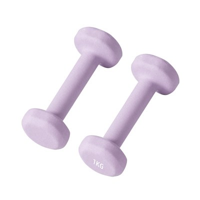 女士家用纯铁哑铃2/3KG练臂