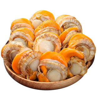 扇贝肉带黄新鲜扇贝鲜活特大扇贝肉冷冻海鲜水产大号特级商用批发