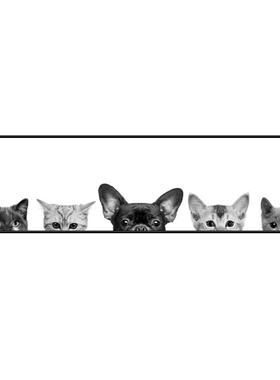 简约现代猫咪狗创意儿童房装饰画