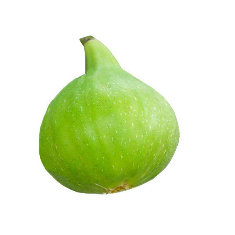 采摘成熟的无花果，口感软糯