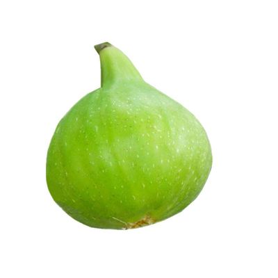采摘成熟的无花果，口感软糯