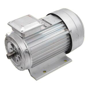 熊猫PM-360EA 368EA 362 660A清洗机电机220V洗车机电机2400W