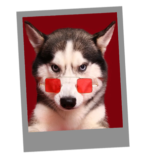 柯达黑边拍立得打印照片冲印黑色lomo卡冲洗手机壳相片咕小卡卡片