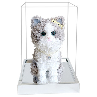 永生花布偶猫咪英短可爱小猫摆件送女友生日礼物告白情人节纪念品