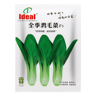 鸡毛菜种子四季小白菜种籽油菜青菜上海青蔬菜籽种孑籽种耐热耐寒