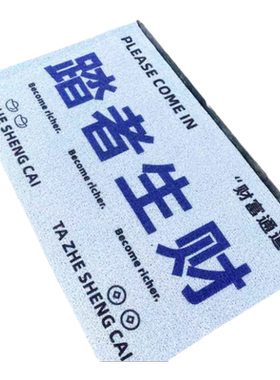 入户门地垫丝圈进门垫子