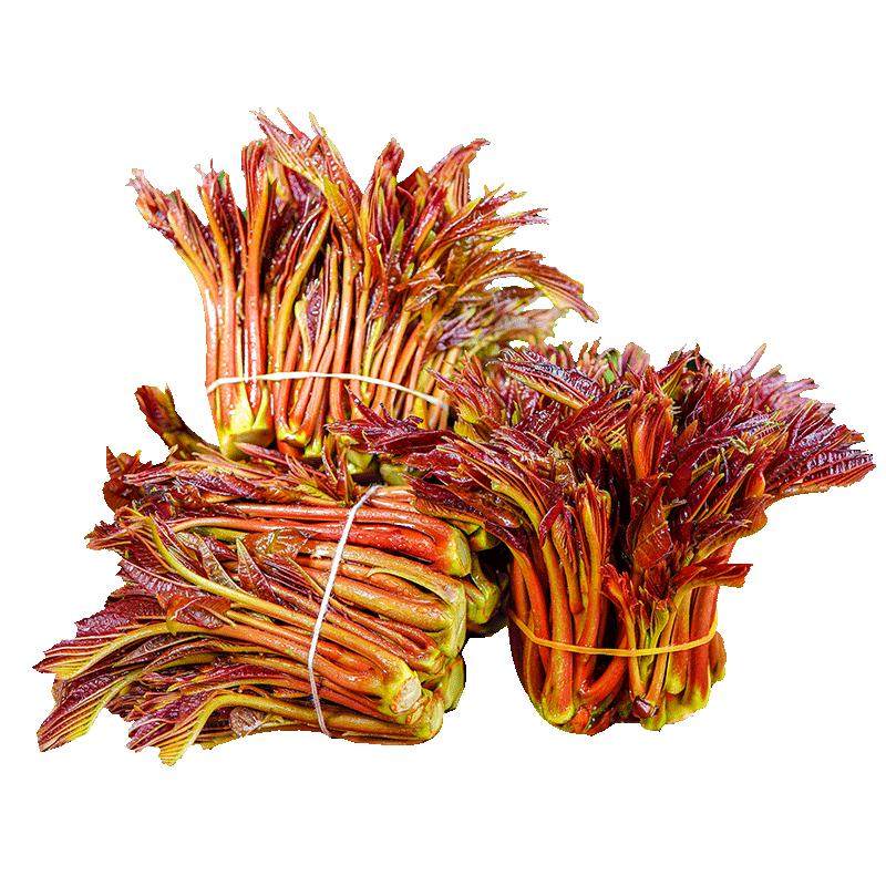 【顺丰包邮】头茬香椿芽四川新鲜香春嫩芽云南露天红油春芽叶蔬菜