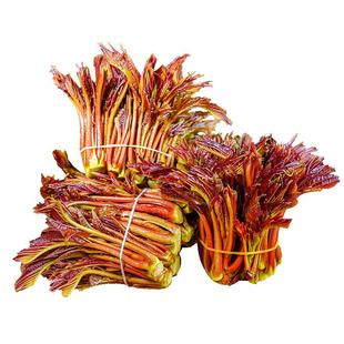 【顺丰包邮】头茬香椿芽四川新鲜香春嫩芽云南露天红油春芽叶蔬菜