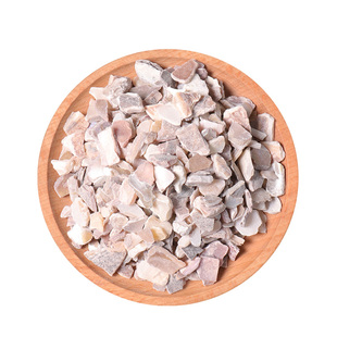 珍珠母500g克 中药材 珍珠母 去皮 珍珠母粉 真珠母 明珠母 蚌壳