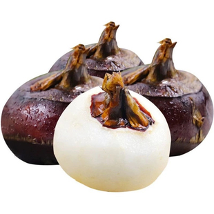 正宗乐昌北乡新鲜现挖马蹄荸荠地雪梨特大果马蹄王免清洗脆甜无渣