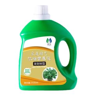 发财树专用营养液黄叶枯叶烂根专用药植物专用肥室内盆栽绿植通用